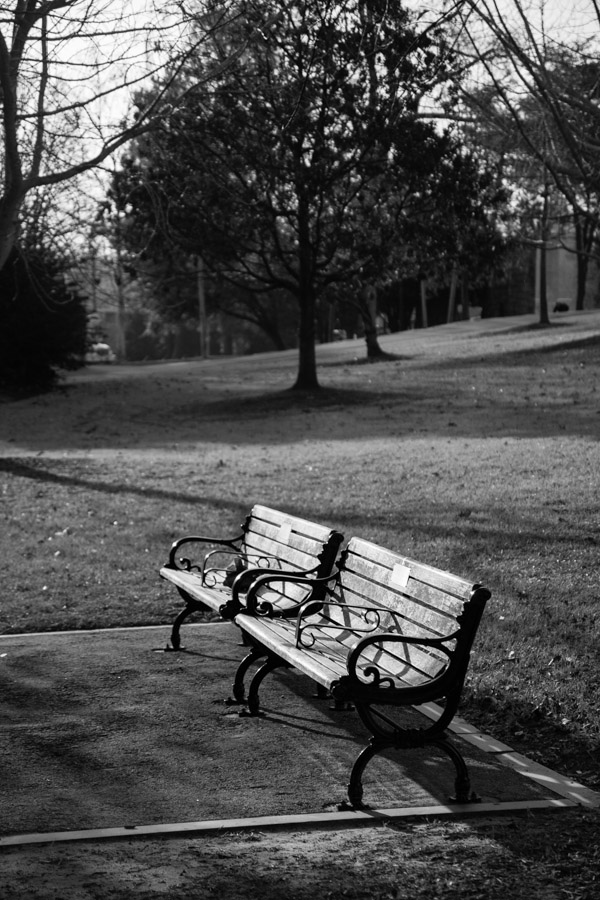 Shots from a mid-winter walkabout at Piedmont Park