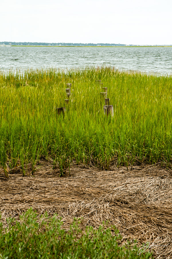 Charleston, SC