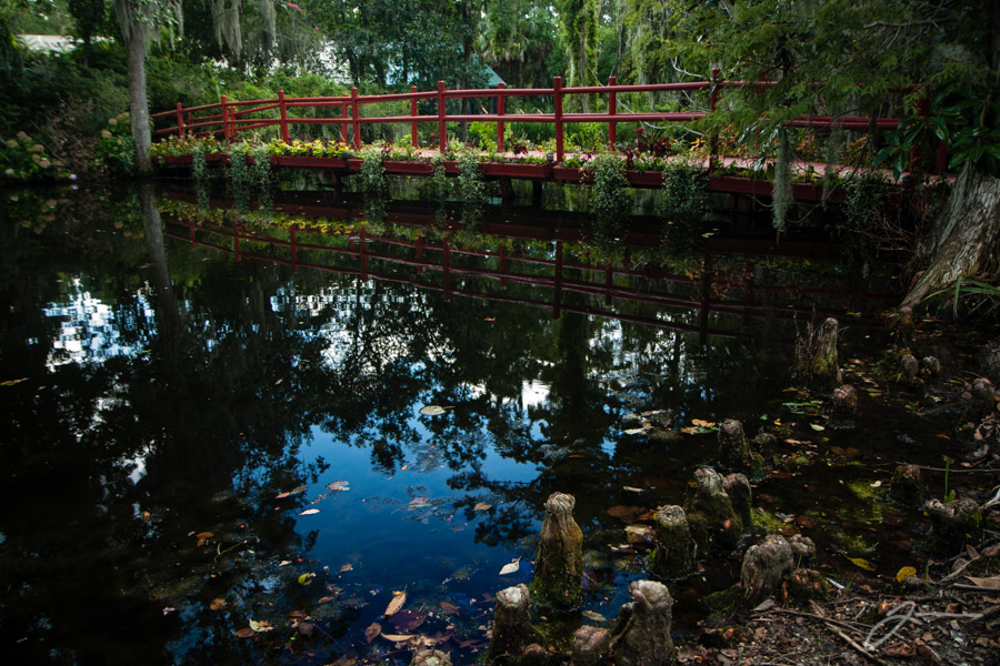 Magnolia Plantation