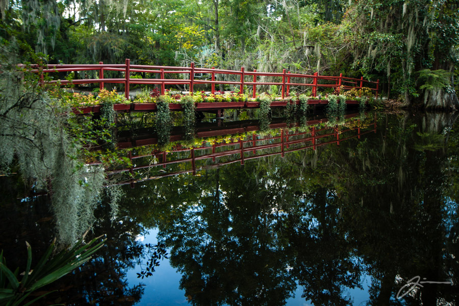 Magnolia Plantation