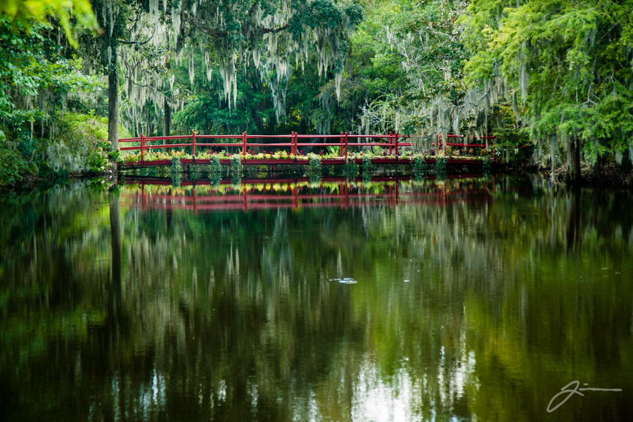 Magnolia Plantation