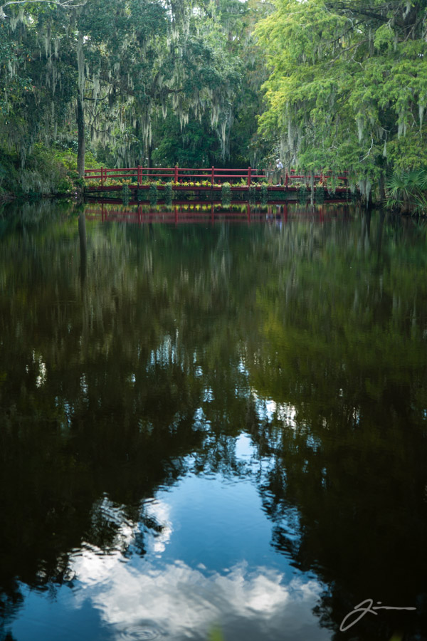 Magnolia Plantation
