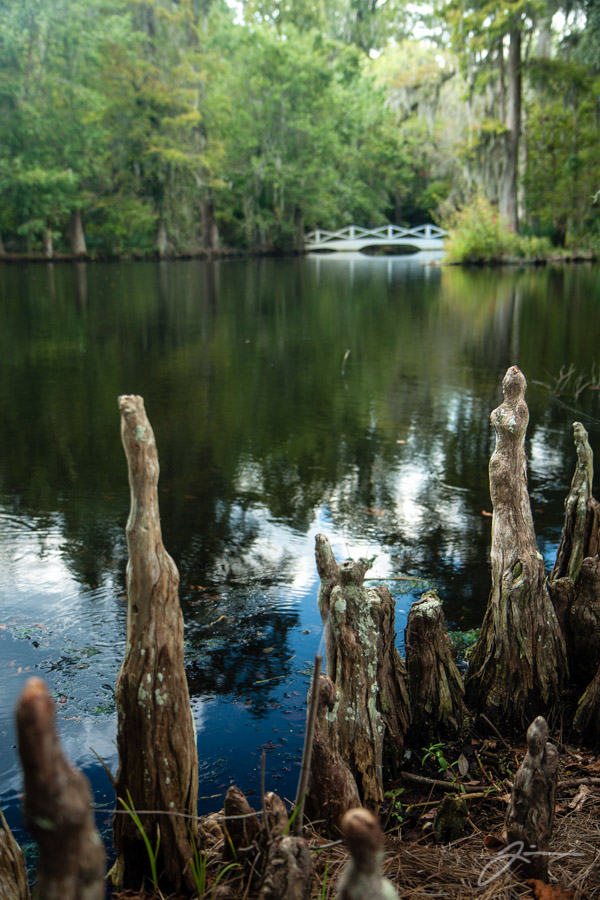 Magnolia Plantation
