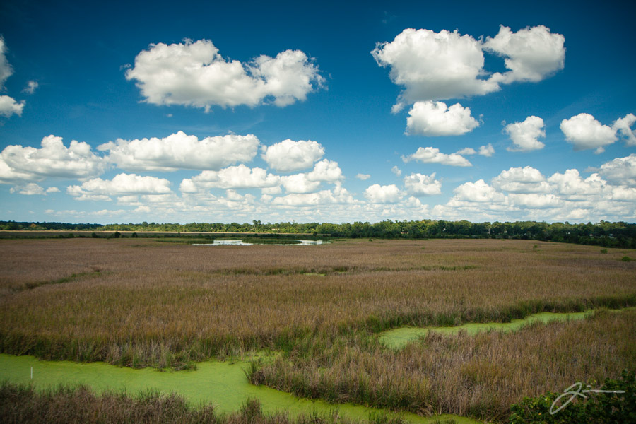 Magnolia Plantation