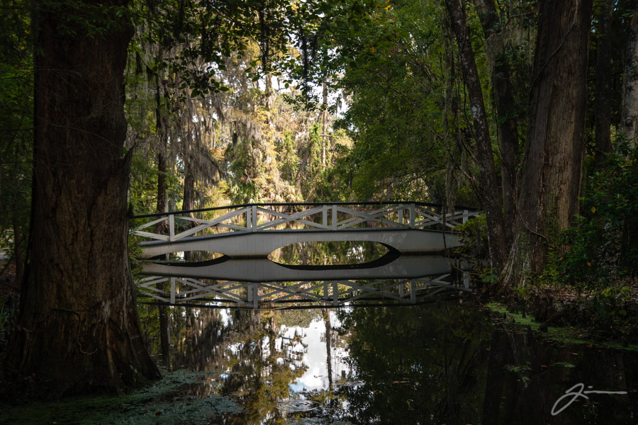 Magnolia Plantation