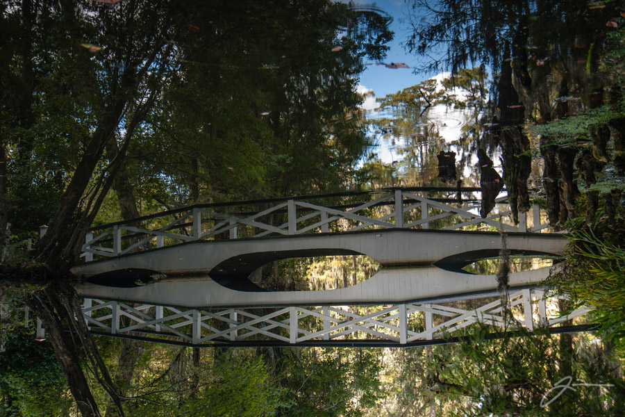Magnolia Plantation