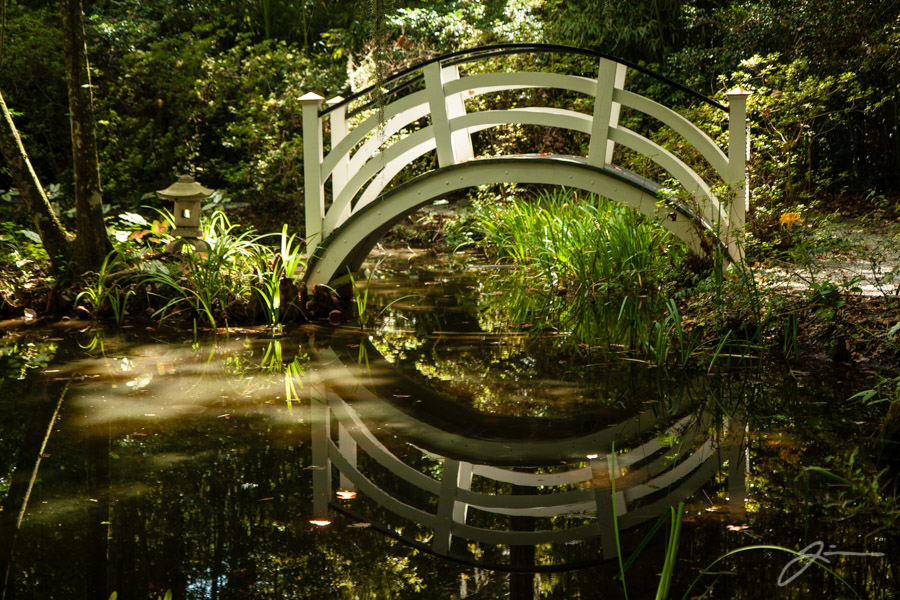 Magnolia Plantation