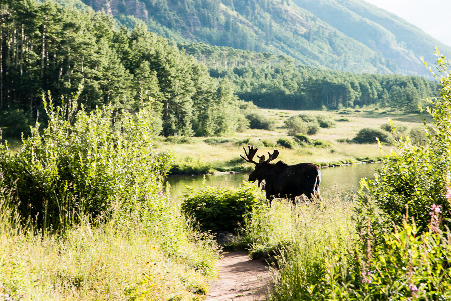 Maroon Bells
