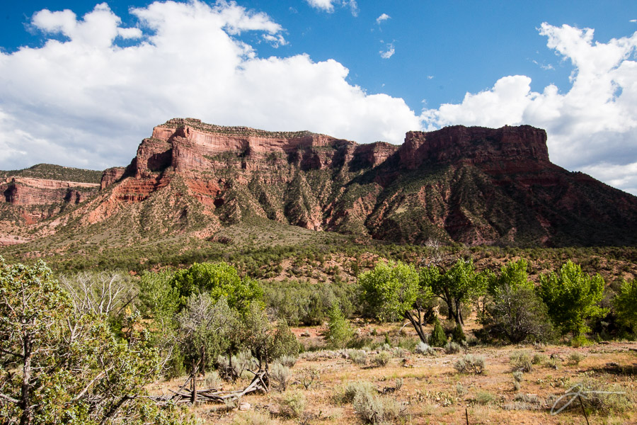 Grand Mesa and Unaweep Canyon