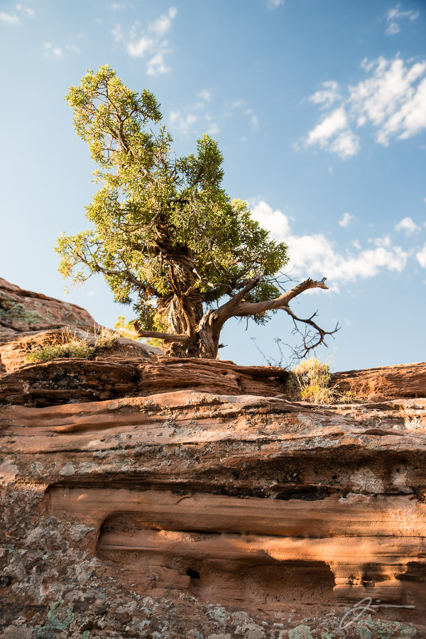 Arches National Park
