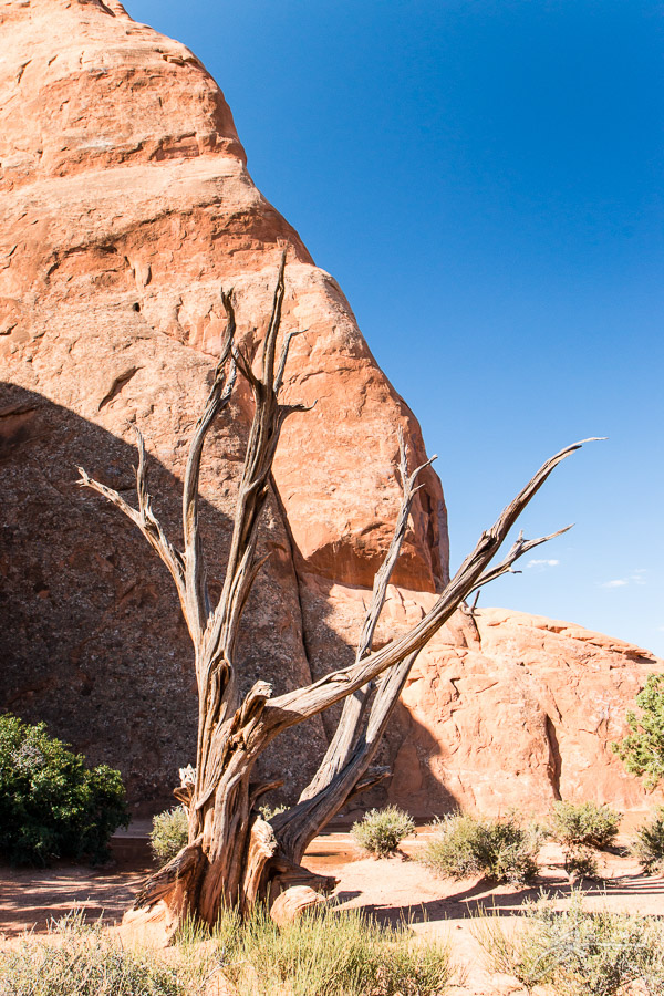 Arches National Park