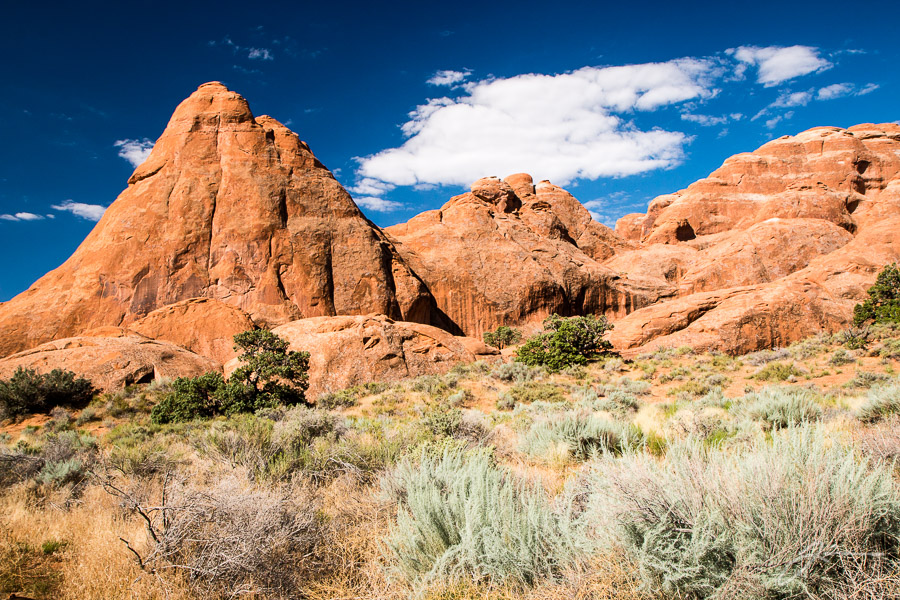 Arches National Park