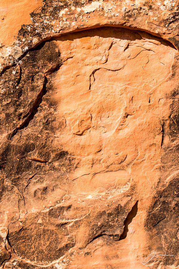 Arches National Park