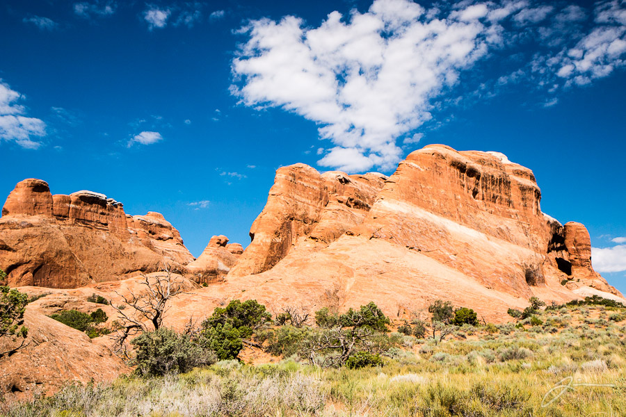Arches National Park