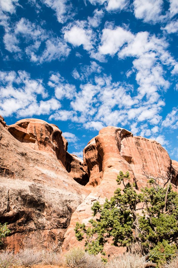 Arches National Park