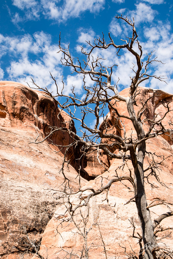 Arches National Park