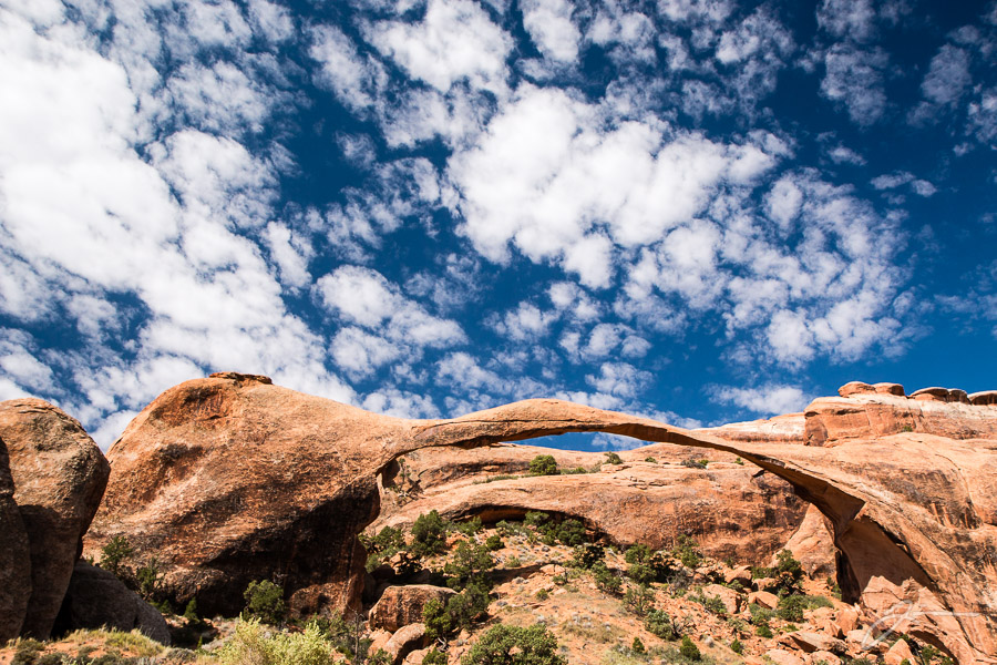 Arches National Park