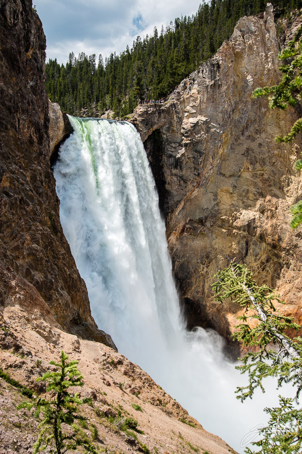 Yellowstone