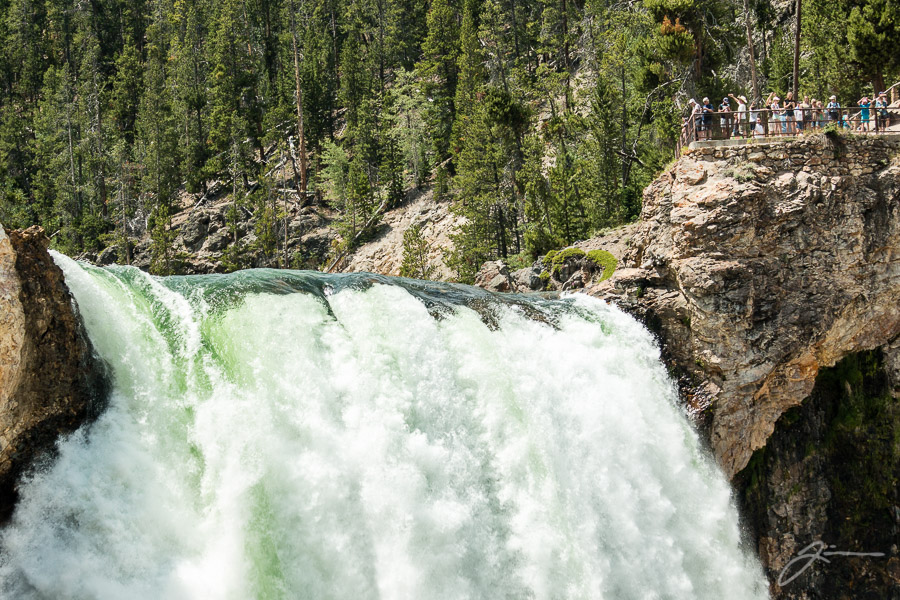 Yellowstone