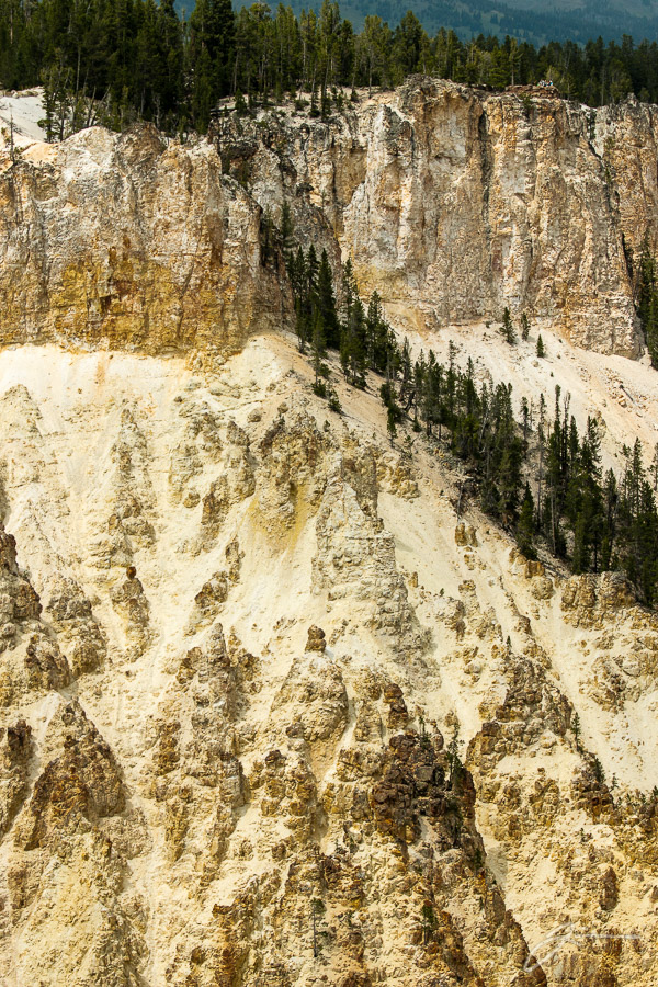 Yellowstone