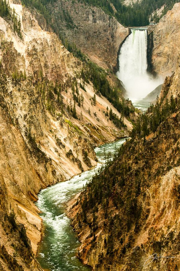Yellowstone