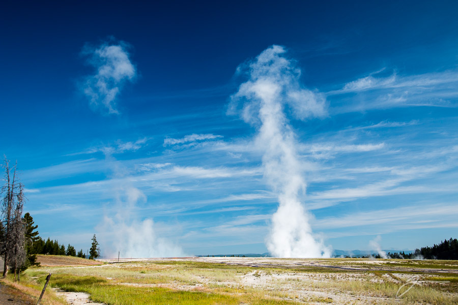 Yellowstone
