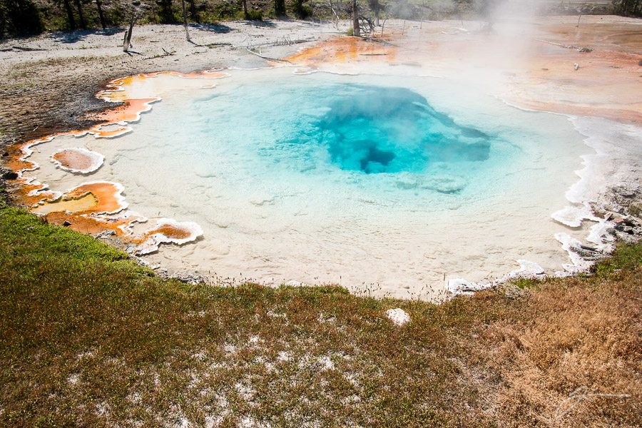 Yellowstone