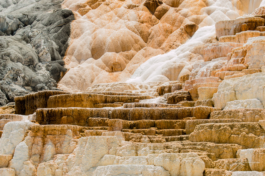 Yellowstone