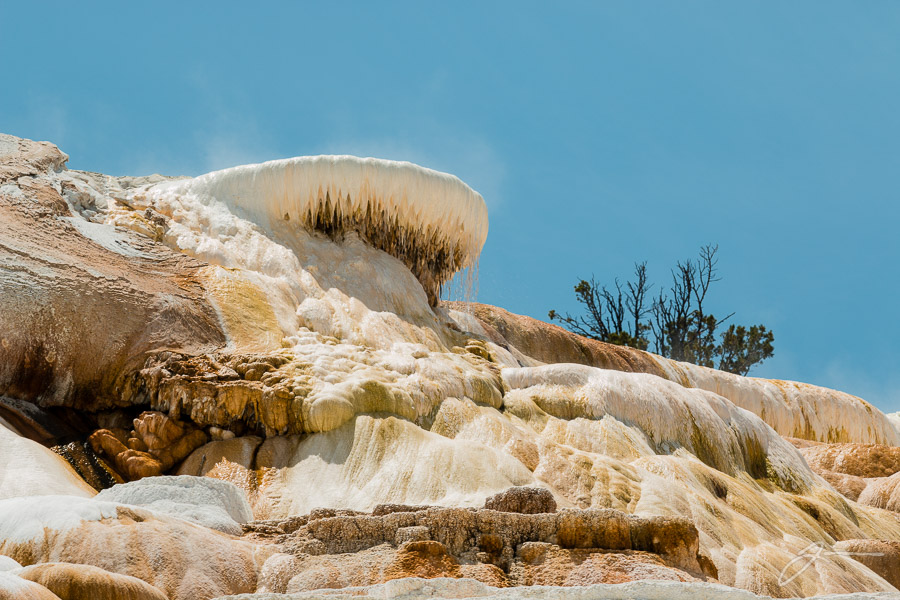 Yellowstone
