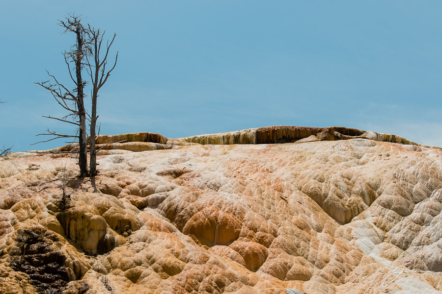 Yellowstone