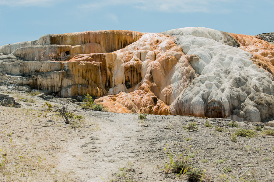 Yellowstone
