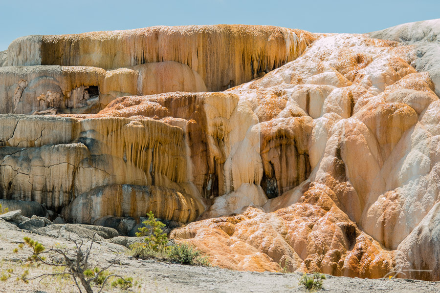 Yellowstone