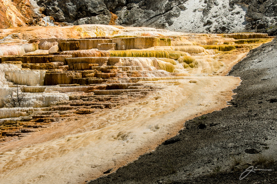 Yellowstone