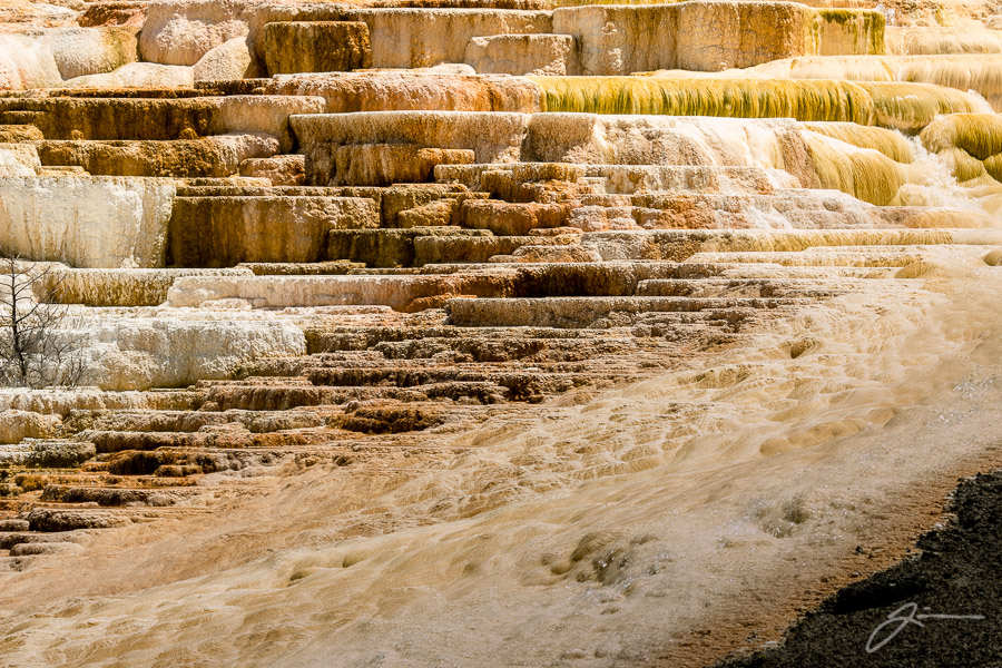 Yellowstone