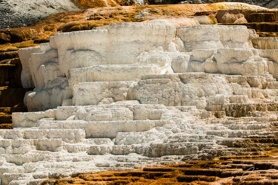 Yellowstone