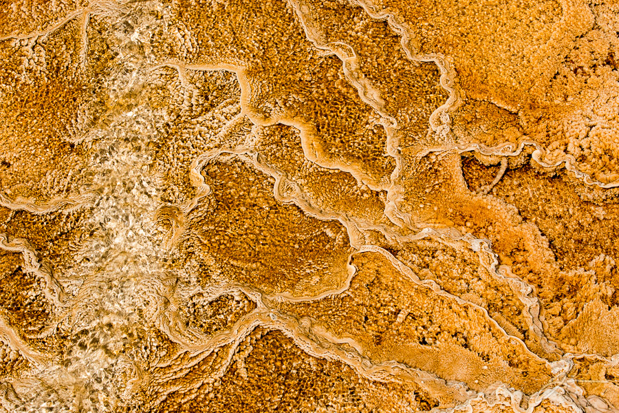 Yellowstone