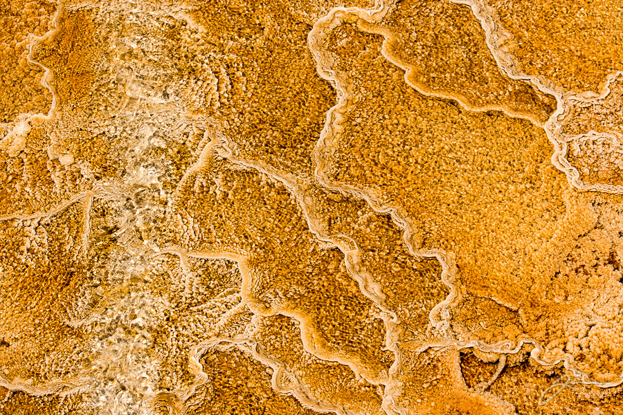 Yellowstone
