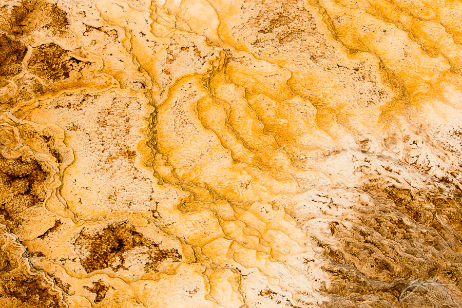 Yellowstone