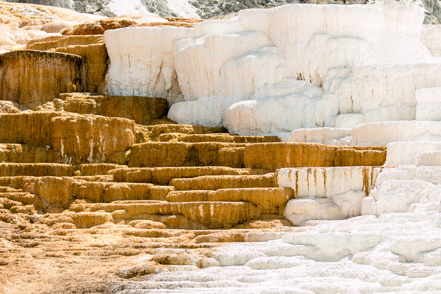 Yellowstone