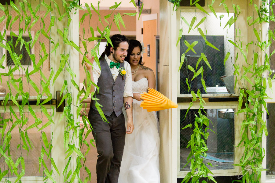 Liz and Ethan's Wedding