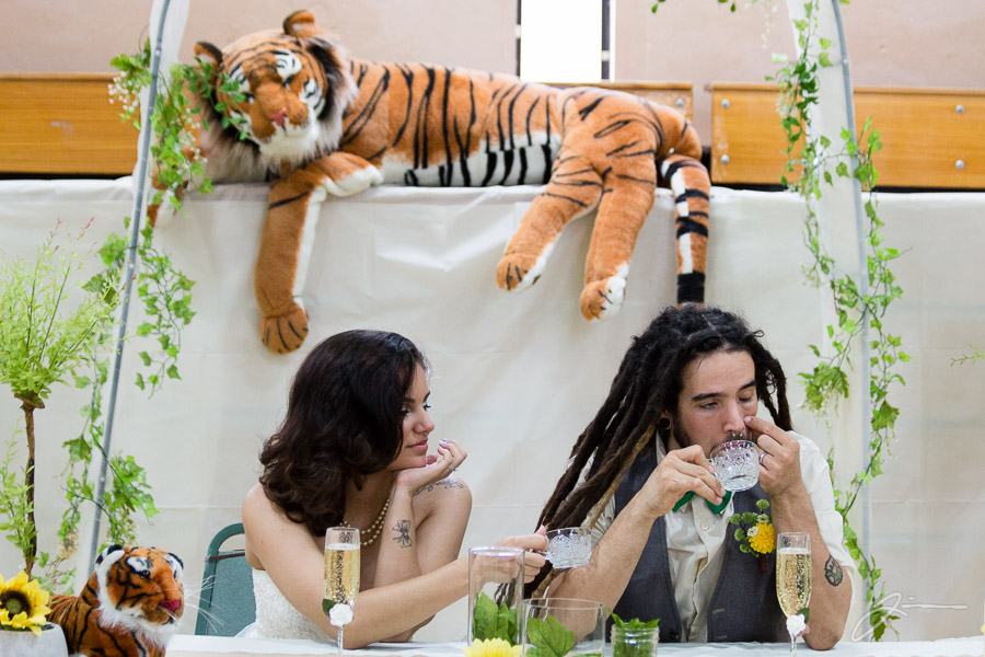 Liz and Ethan's Wedding