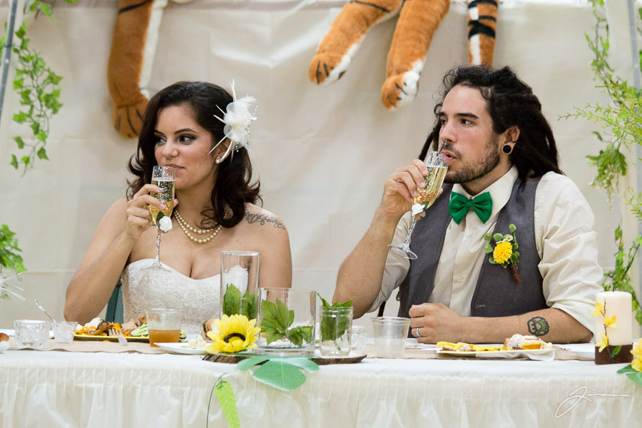 Liz and Ethan's Wedding