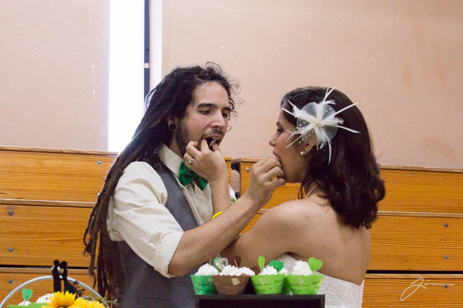 Liz and Ethan's Wedding