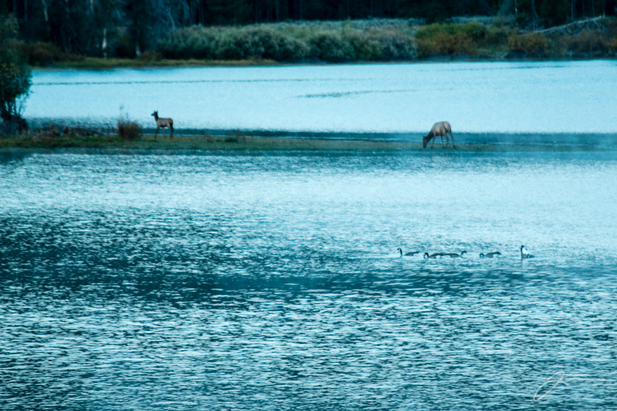 Grand Tetons