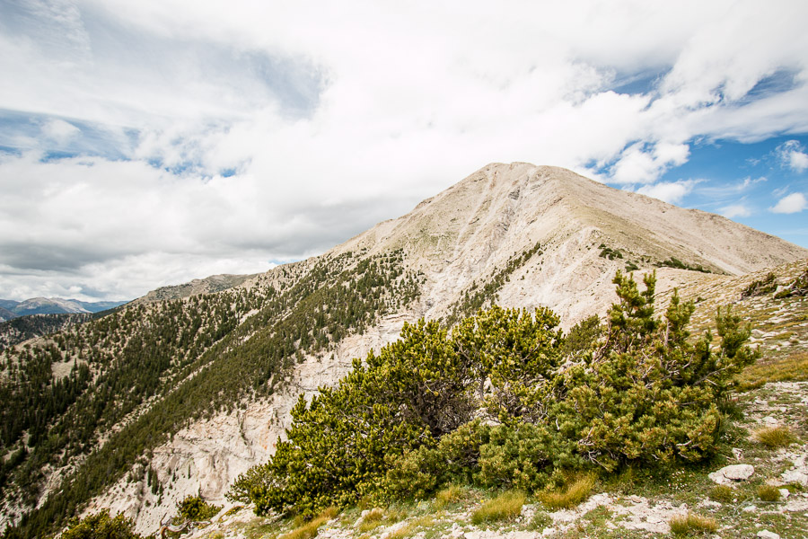 Mount Princeton