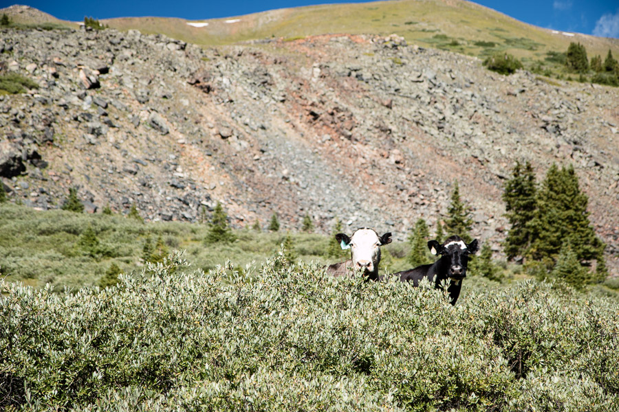 Tincup Pass