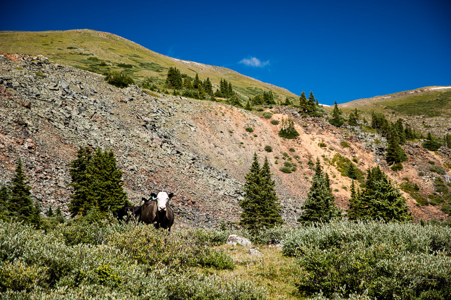 Tincup Pass