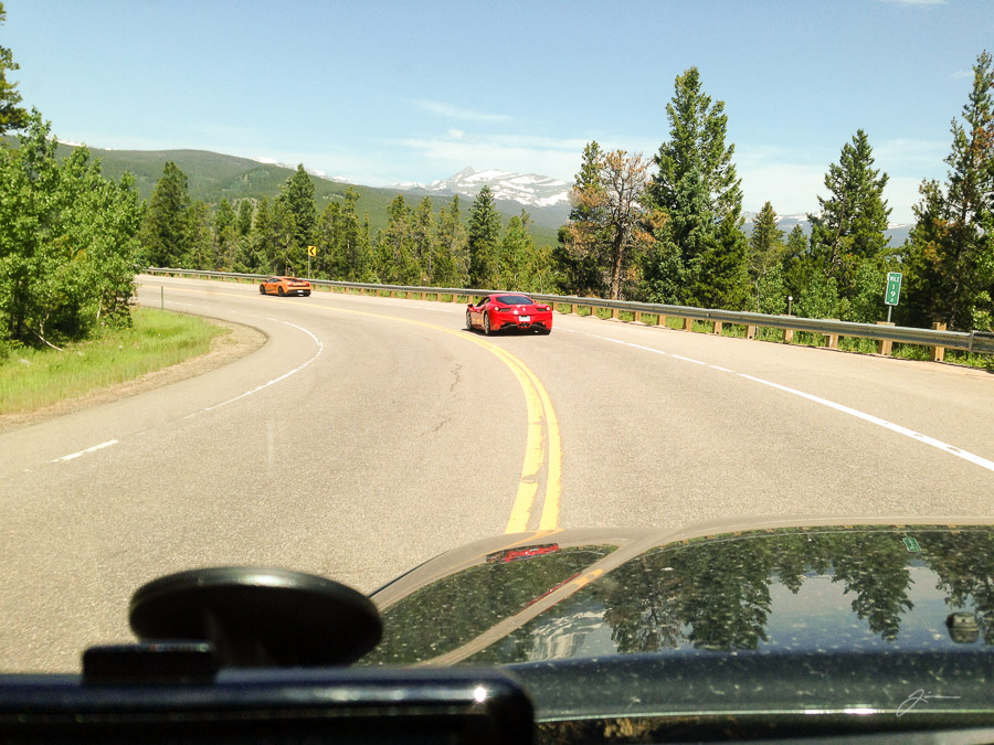 Chasing (and keeping up!) with a horse and bull ...