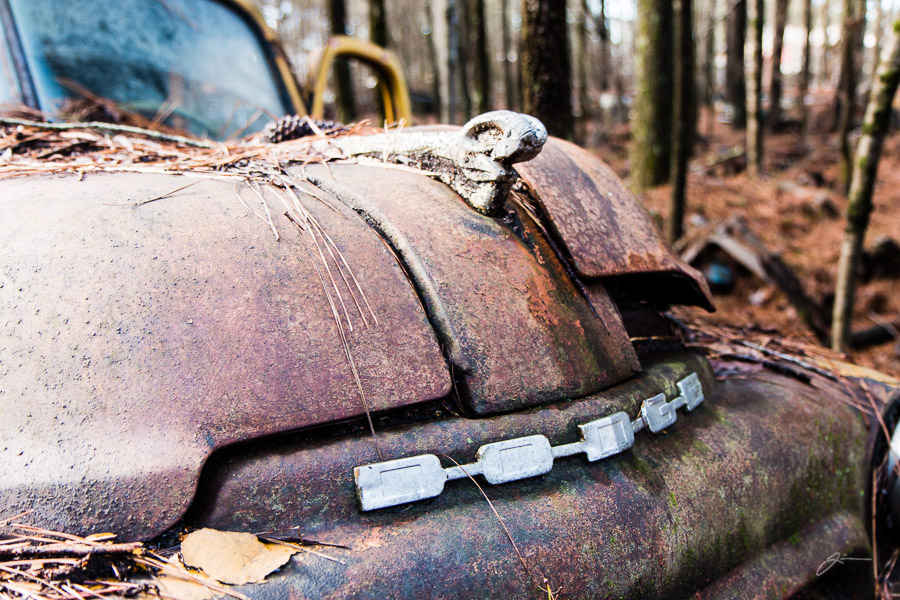 Abandoned cars near White, GA 
