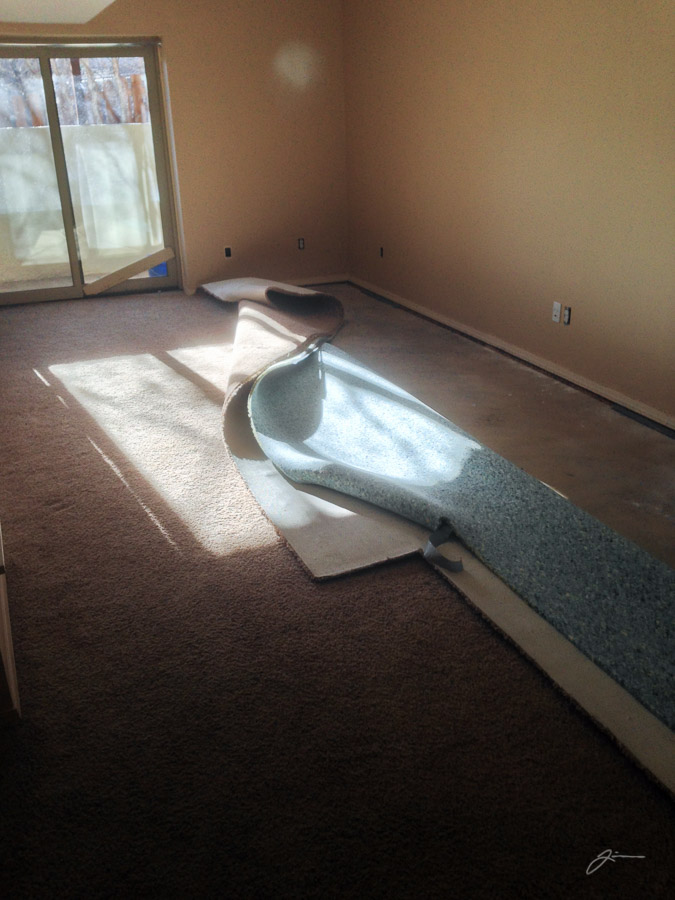 Dark Horse - Remodel and Move